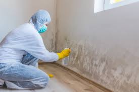 Best Emergency Mold Remediation  in Holualoa, HI